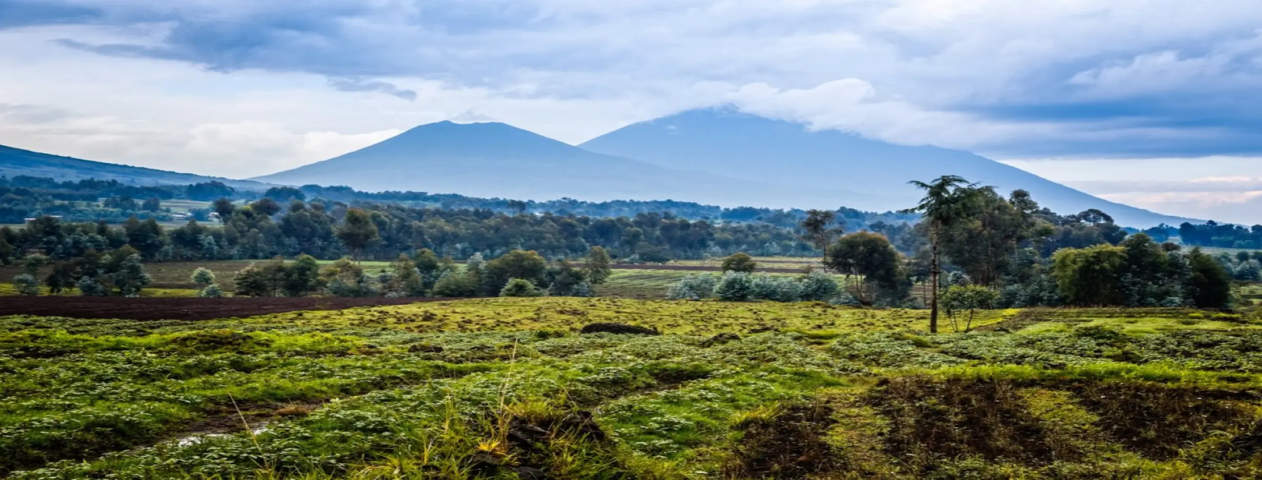 Image for Virunga Trekking